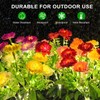 Solar Flowers Lights, 2 Pack Solar Garden Lights with 14
