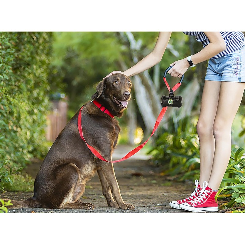 8 Pack Dog Poop Bag Dispenser, Pet Waste Disposal Bag