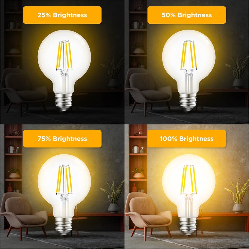 Hudson 6W Edison LED Light Bulb - G25 Globe, 4-Pack,