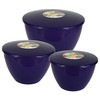 Just Pudding Basins 3 Larger Bowl Sizes and Lids in