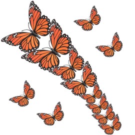 Monarch Butterfly Decorations, dia de los muertos Decorations, 3 Sizes 3D Day of the Dead Artificial Monarch Butterflies Decor Halloween Butterfly Wall Decal for Craft Home Wedding Thanksgiving, 12Pcs