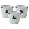 Hasami Ware 323751 Light Ball Kiln Buckwheat Chiyokuchi, 3 Pieces,
