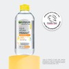 Garnier, 2 Pack Skin Active Micelar Express Aclara 400Ml +