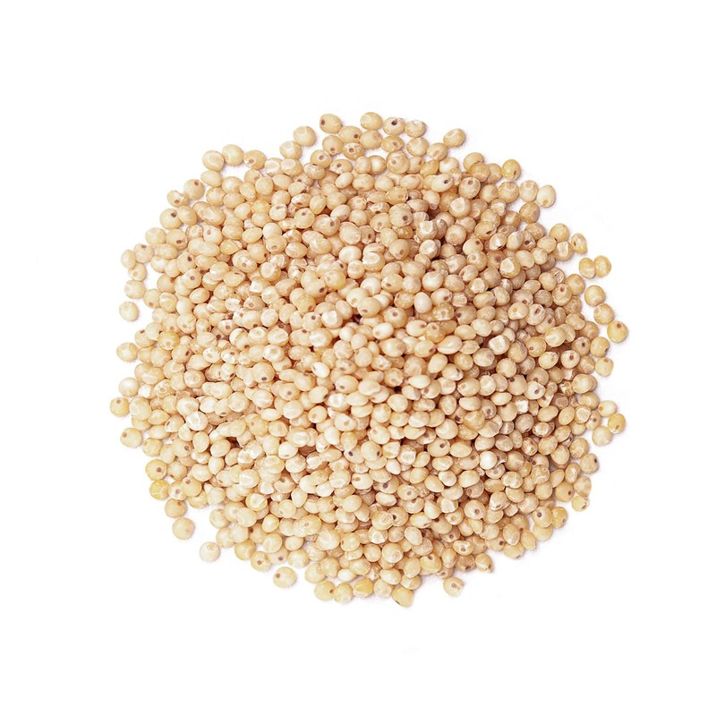 Food to Live Organic Italian White Whole Grain Sorghum, 1.5