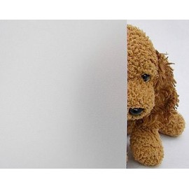 Gordon Glass Co. White Frost Privacy Decorative Window Film 12" Wide x 9 ft. Roll