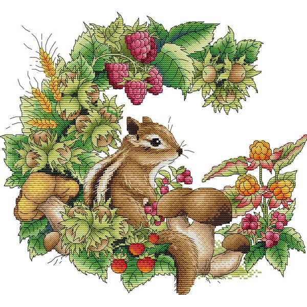 Awesocrafts Cross Stitch Embroidery Kits Pre-Printed Chipmunk Pictures Templates Embroidery