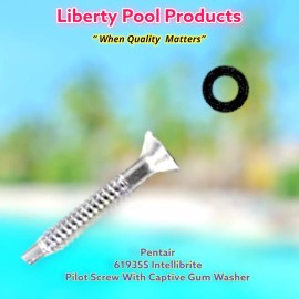 Pentair 619355 Stainless Steel Pilot Screw w/ Captive Gum Washer Pack By Liberty