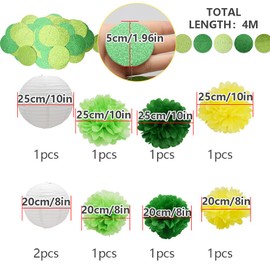 Ruidee 10Pcs Green Party Decorations Paper Lantern Tissue Pom Pom Dot Hanging Garlands Set 3 Hanging Chinese Lanterns 6 Tissue Paper Flower 1 Glitter Dots Streamer for Birthday Wedding (DHZ/Green)