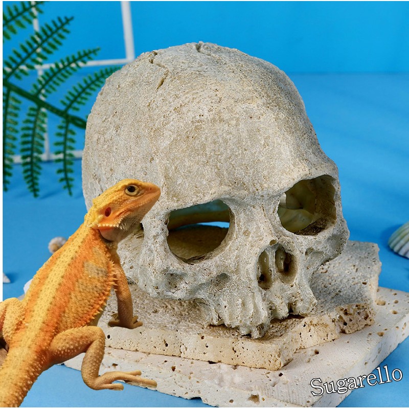 Sugarello Reptile Shelter Hideaway Terrarium Cage Reptile Breeding Aquarium Decoration