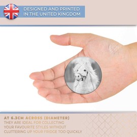 Destination Vinyl ltd Magnet for Refrigerator, Fridge BW - White Shetland Pony Animals Pets Cute for Office, Cabinet and Whiteboard, Magnetic Stickers, 41020