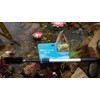 Water Garden Koi Fish Pond Cleaning Brush with 70" (1.7m)
