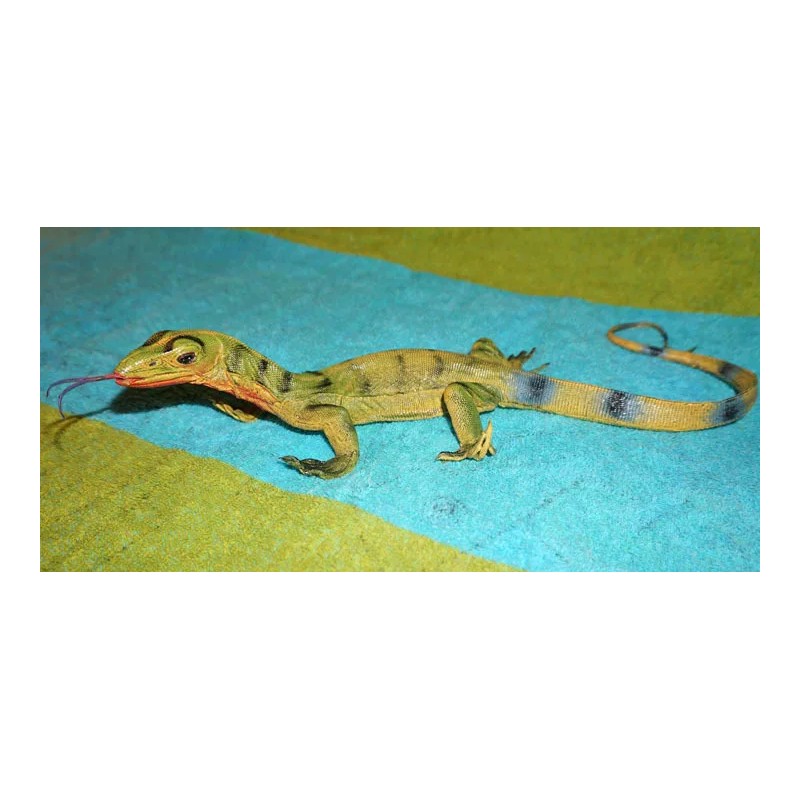 Monitor Lizard Replica - Young Green - AAA Realistic PVC