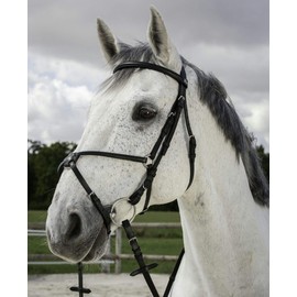 Riding World Mexican Horse Bridle Bridle