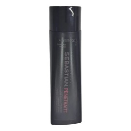 Sebastian Penetraitt Shampoo 250ml