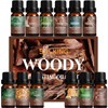SALKING Woodsy Essential Oils Set for Men, Masculine Essential Oils,