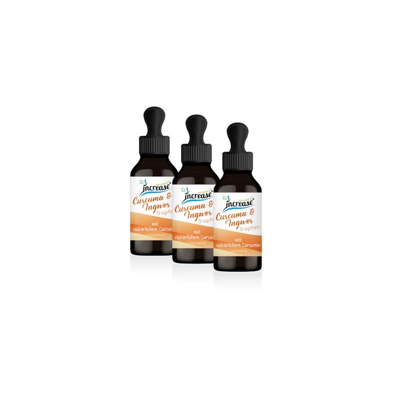 Take 3, Number 2 Action Liposomal Curcuma & Ginger Drops
