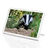 1 x Fridge Magnet -European Forest Badger Classic Fridge Magnet