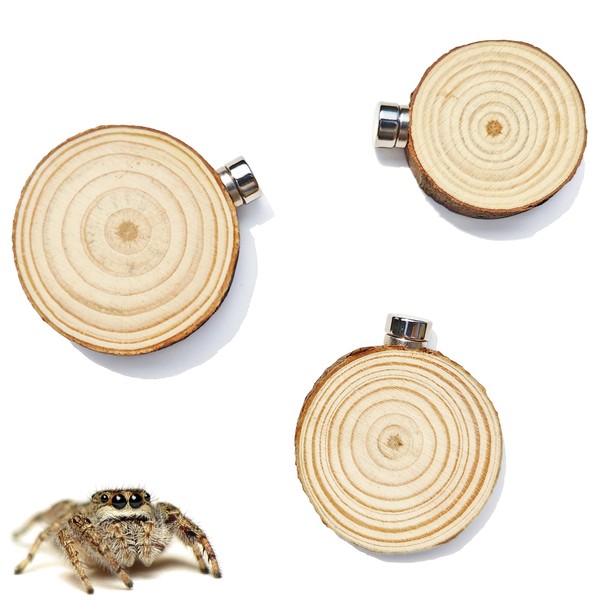 3 Pack Jumping Spider Enclosure Climbing Platforms, Magnetic Jumping Spider