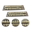 56 Pieces False Teeth Resin for Upper and Lower Dentures,