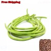Treevale Yardlong Bean, Asparagus Bean, Snake Bean, Chinese Long Bean