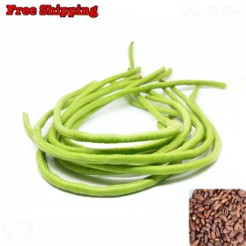 Treevale Yardlong Bean, Asparagus Bean, Snake Bean, Chinese Long Bean SEEDS | Non-GMO - 150 Seeds ~1 oz W/Tracking