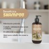 Shampoo Econcept Miel Y Manteca De Karité 500ml