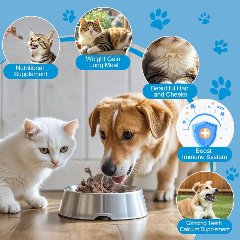 Freeze Dried Little Quail - Single Ingredient Cat and Dog