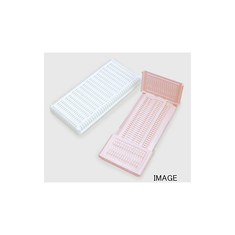 Nishikasei Picnicket Medium-Small Knockdown OW×BR