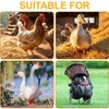GGUFAY Pack of 100 Poultry Bands, Adjustable Chicken Rings, Plastic