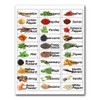 60 Spice Labels Jar Bottle Illustrated Stickers Labels
