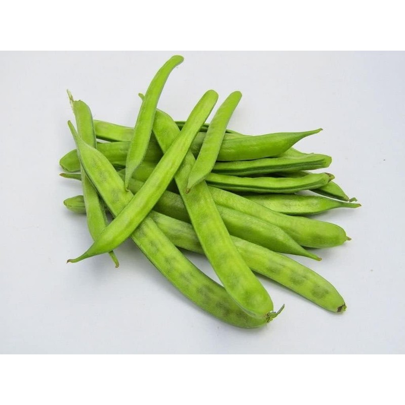 30 Cluster Beans Seeds, Non-GMO, Heirloom, High Yield for Canadian