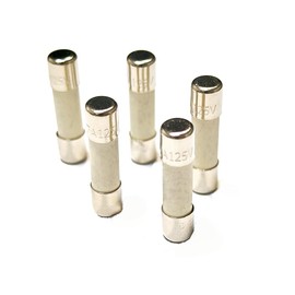 8A125V, 8Amp 125V, 8A 125V Fuse, 5 * 20mm, F8AH Fuse, Fast Blow Ceramics Fuses Assortment Kit, Ceramics Cartridge Fuse, 20 Packs (8A)