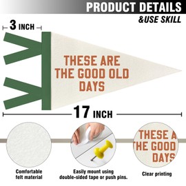 JXREQ These Are the Good Old Days Pennants Banners Flags for Kids Room Decor, Trendy Inspirational Positive Affirmation Canvas Wall Art Decor for Home Office Workplace Classroom, 8x17 Inch