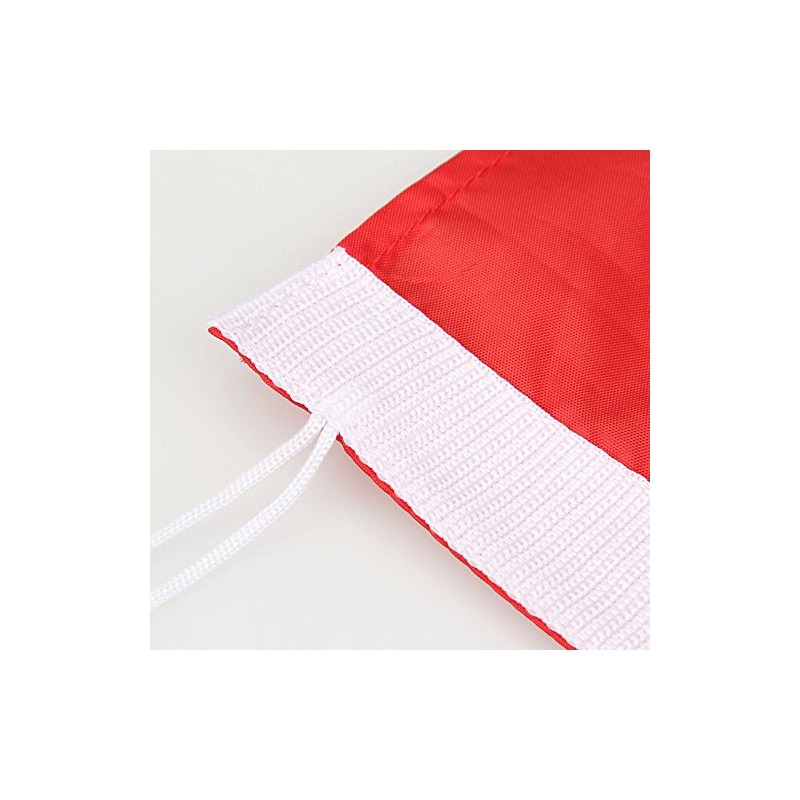 JP LANN Practice Flag Stick