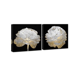 The Oliver Gal Artist Co Botanical Wall Art Canvas Prints 'Light Set' Florals Home Décor, 20x20