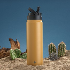 JoyJolt Triple Insulated Water Bottle with Straw Lid AND Flip Lid! 22oz Water Bottle, 12 Hour Hot/Cold Vacuum Insulated Stainless Steel Water Bottle. BPA-Free Leakproof Water Bottles - Thermos Bottle