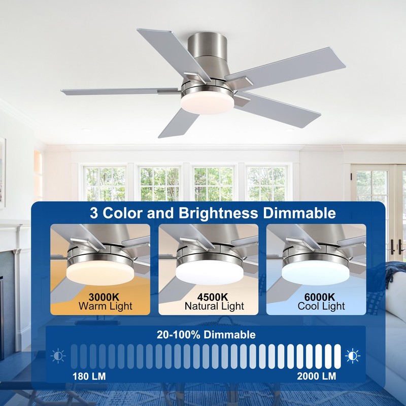 Rayqueen 42 Inch Ceiling Fans with Lights and Remote,Flush Mount