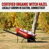 Thayers Thayer Extracto de hamamelis original, 0.35 l