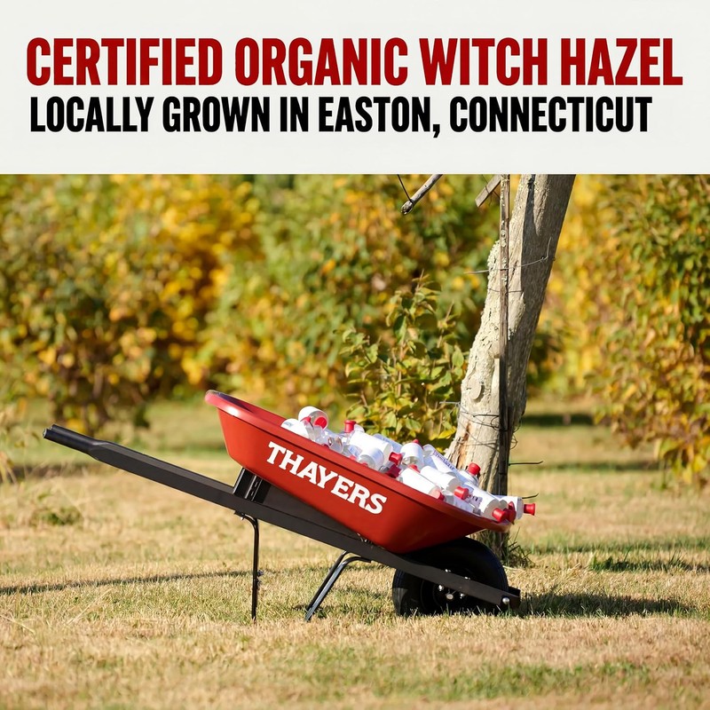 Thayers Thayer Extracto de hamamelis original, 0.35 l