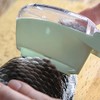 Fish Scaler, Fast Fish Scale Remover, Fish Descaler Tool Skin