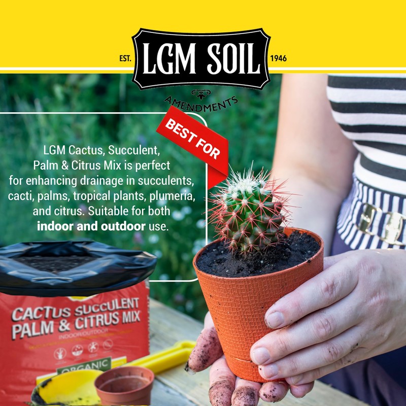 LGM Cactus & Succulent Palm & Citrus Mix, Ideal Potting