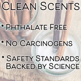 SweetHollow Smells Like... Candle Gift, Highly Scented & Long Lasting Luxury Coconut Wax (A Night In, Vanilla Cinnamon)