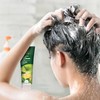 Desert Essence Green Apple & Ginger Shampoo & Conditioner Bundle