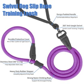 Slip Lead Dog Leash, 360 Swivel Anti-Tangle, 4FT / 6FT Durable Nylon No Pull Walking Leash for Small Medium Large Puppy Dogs, 4ft Purple