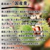 Kuriya Nanyoken Gifu Nakatsugawa 100% Chestnut Kinton, Pack of 10