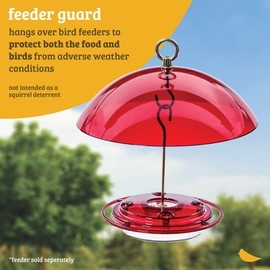 Birds Choice 10" Protective Dome Cover for Hanging Bird Feeders, Orange - 2 Pack