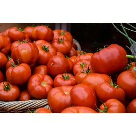 Park Seed Variety of Tomato Seeds, Planting Vegetables, Easy to Grow, Non-GMO, Perfect for Harvesting, Big Beef Hybrid, Pack of 250