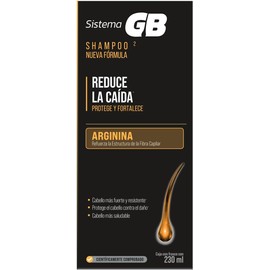 SISTEMA GB Shampoo 2 Hombre, Con Piritionina de Zinc y Climbazol que refuerzan la acción anticaída y cuidan el cuero cabelludo donde nace el pelo, Frasco con 230ml