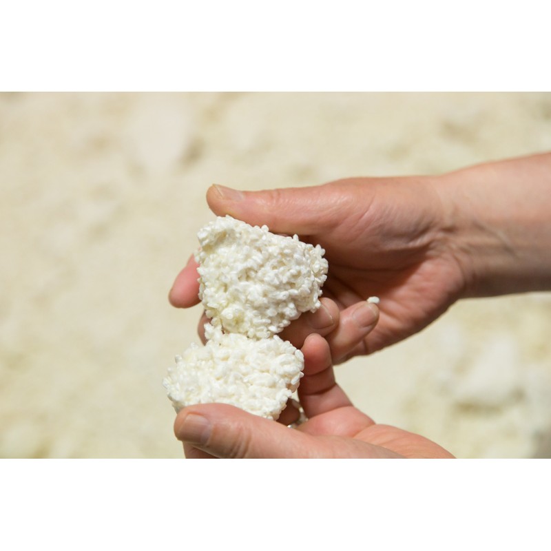 山崎糀屋　生黄糀(なまきこうじ) 500g