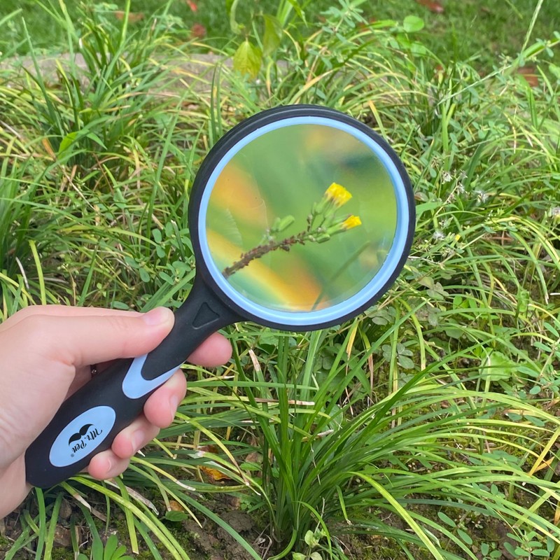 Mr. Pen- Magnifying Glass, 2 Pack, 10X Magnifier, 75mm Glass